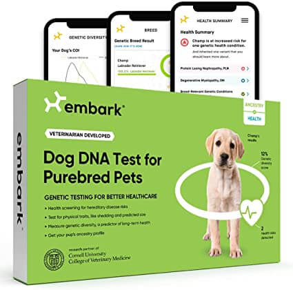 Embark Dog DNA Test for Purebred Pets