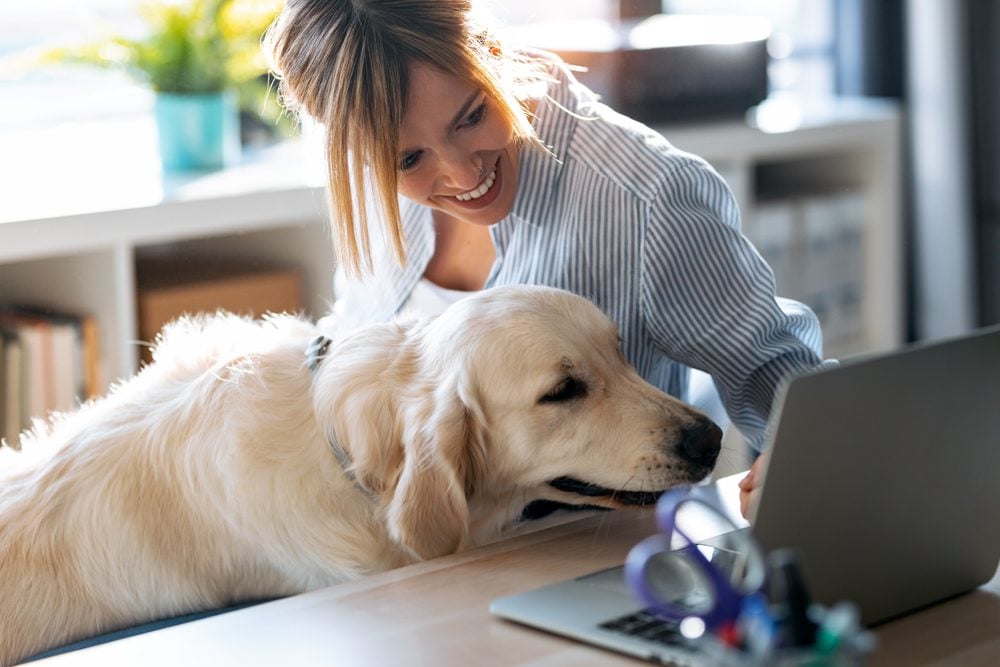 How to Safely Buy Your Pet's Medications Online