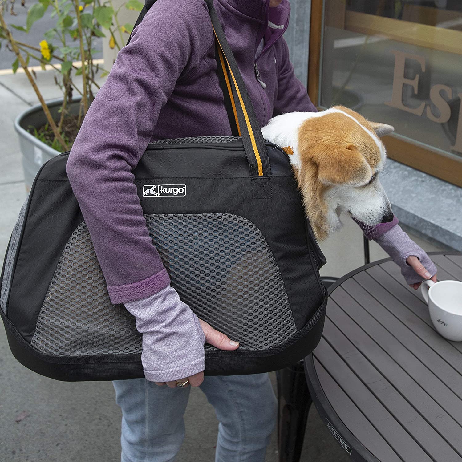 Is-the-Kurgo-Dog-Backpack-Worth-it