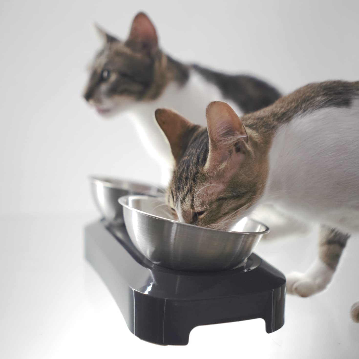 KatSupreme Anti-vomiting Cat Bowl