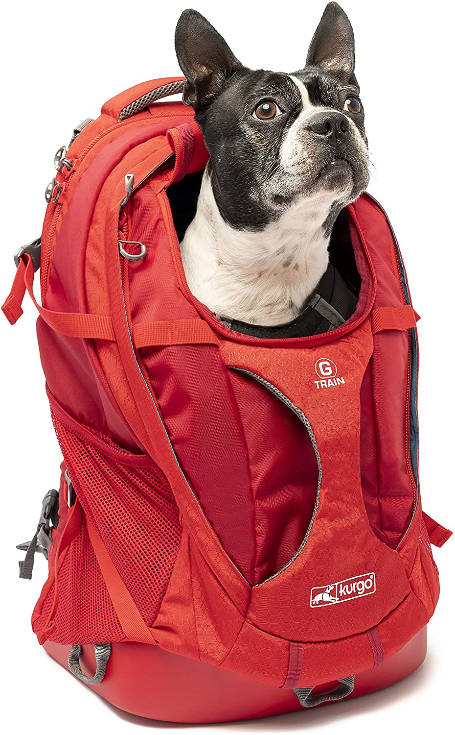 Kurgo Dog Carrier Backpack for Small Pets