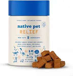 Native Pet Relief Anti Inflammatory for Dogs + Green Lipped Mussels