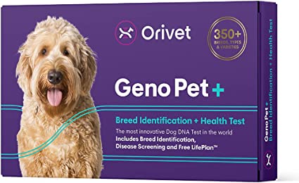 ORIVET Dog DNA Test