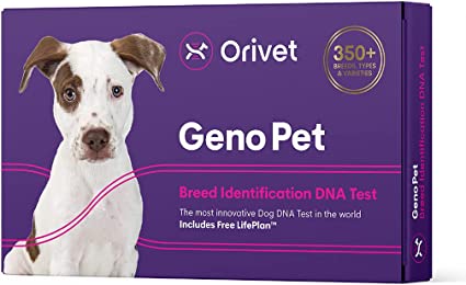 Orivet Genopet Dog DNA Test