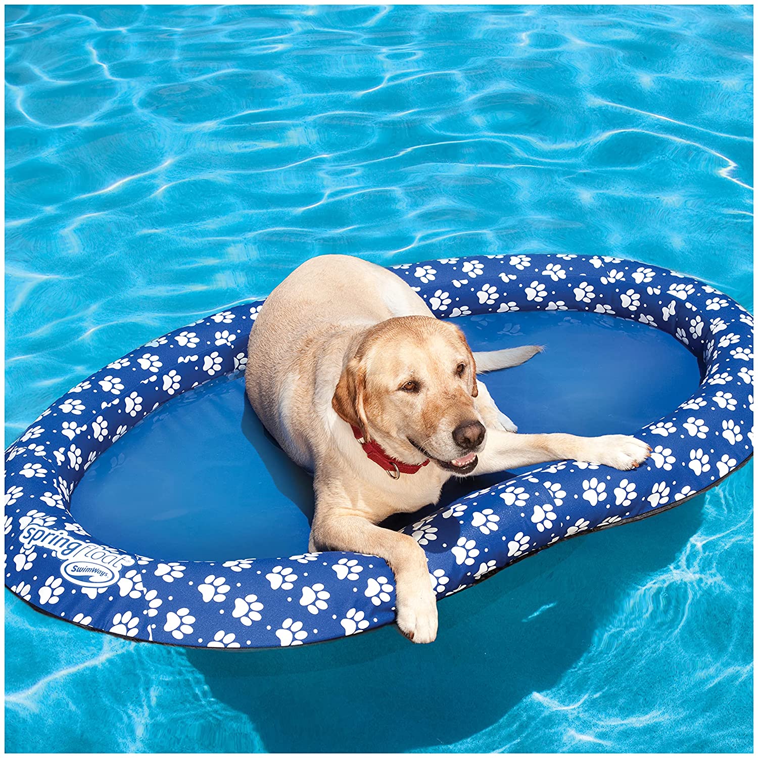 Paws-Aboard-Doggy-Lazy-Raft