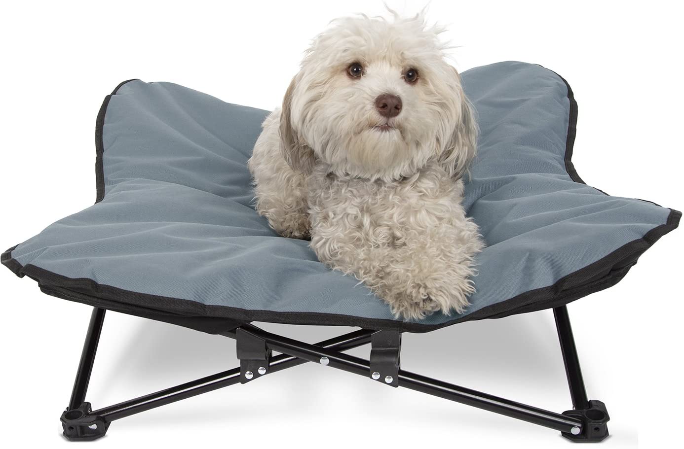 Paws & Pals – Raised Dog Cot