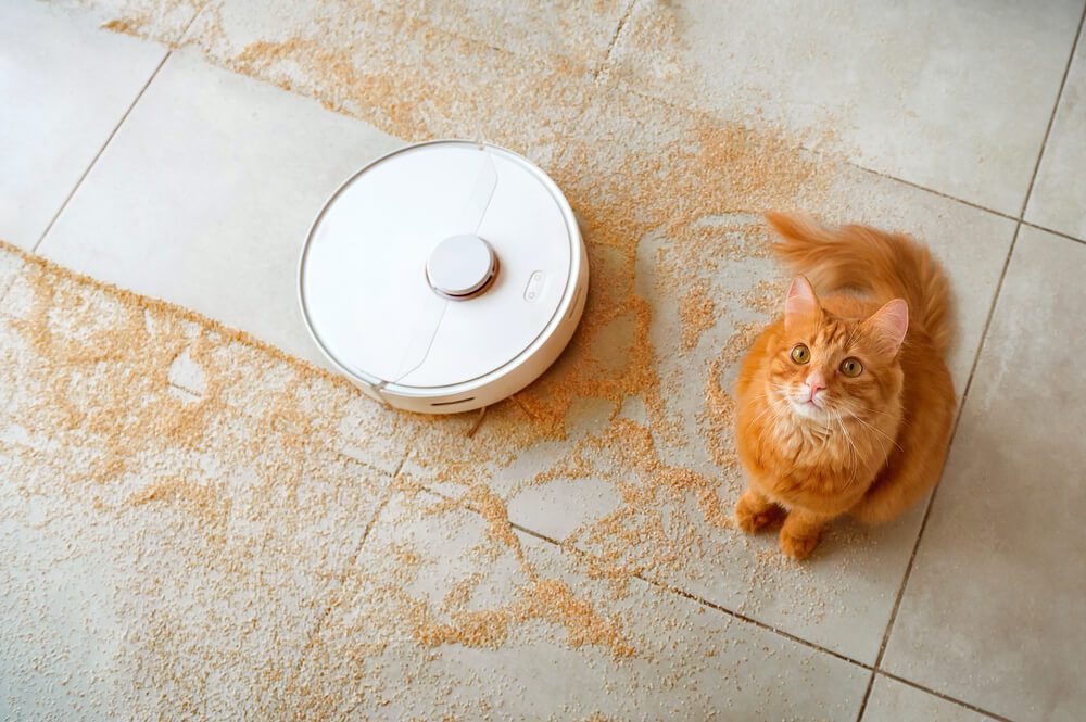 robot vacuum cleaning up cat's mess