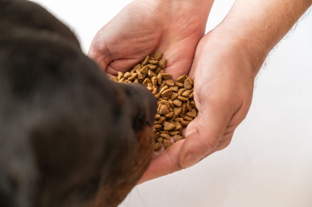 dog food for picky eaters