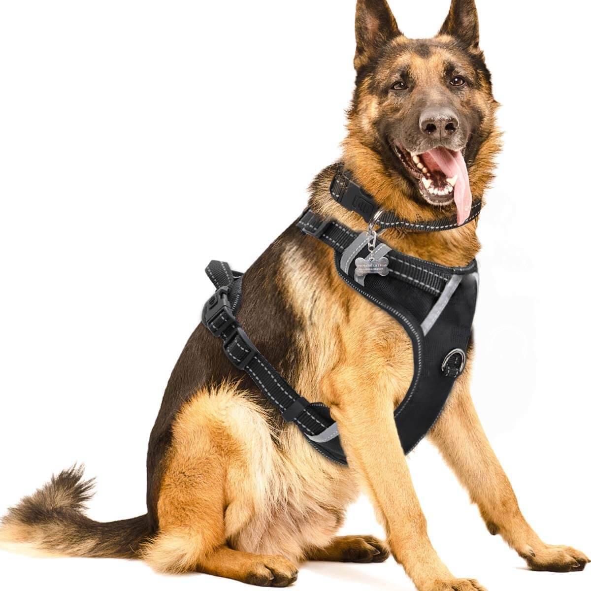 WINSEE Adjustable, Reflective and Easy Walk Large Dog Harness with Dog Collar