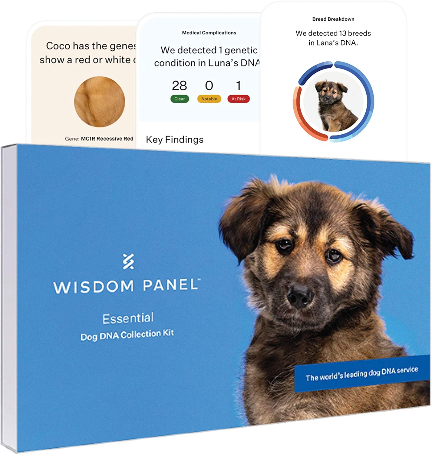 wisdom panel essential dog dna test kit