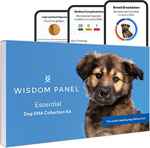 Wisdom Panel Essentials Kit