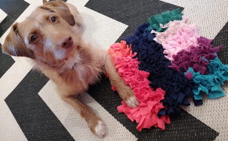dog with his favorite snuffle mat