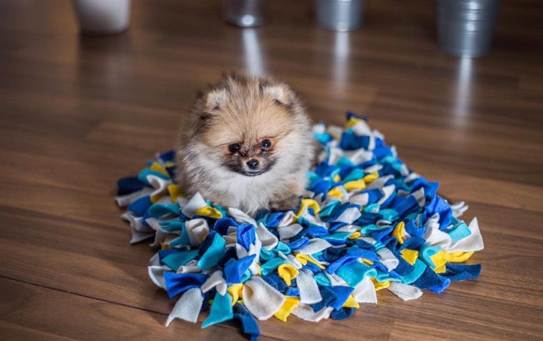 difference between diy and branded snuffle mats