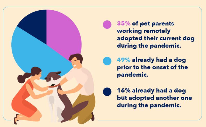 pandemic pets