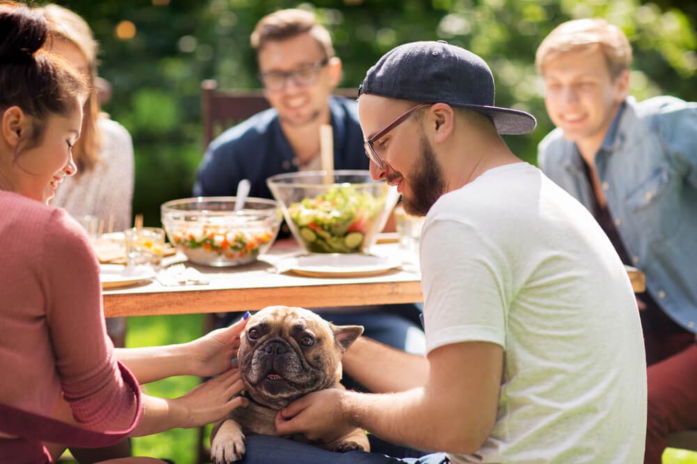 why is socializing your dog important