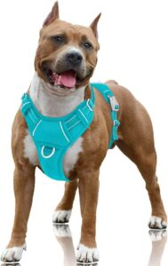 BARKBAY Large Step in Reflective Escape Proof Dog Harness with Front Clip and Easy Control Handle