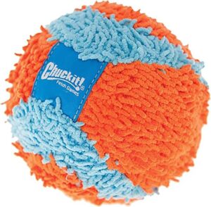 ChuckIt! Indoor Ball Dog Fetch Toy