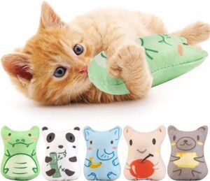 Dorakitten Catnip Toys for Indoor Cats