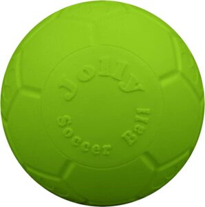 Jolly Pets Large Soccer Ball Floating-Bouncing Dog Toy