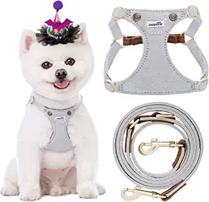 Puppytie No Pull XXS Dog Harness with Multifunction Dog Leash
