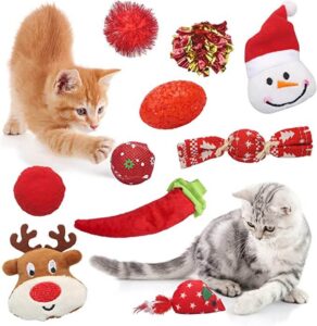 Sanlebi Assorted Christmas Cat Toys Stocking