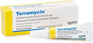 Terramycin Antibiotic Ointment for Eye Infection Treatment in Dogs