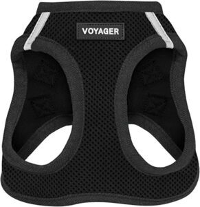 Voyager All Weather Mesh Step-in Air Dog Harness