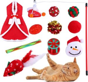 senyouth Cat Christmas Costume and Toys