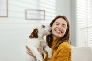 Young woman with her cute Jack Russell Terrier at home
