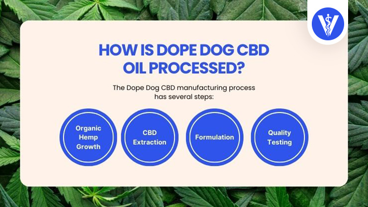 Dope Dog CBD Oil Process