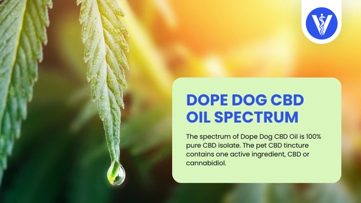 Dope Dog CBD Oil Spectrum