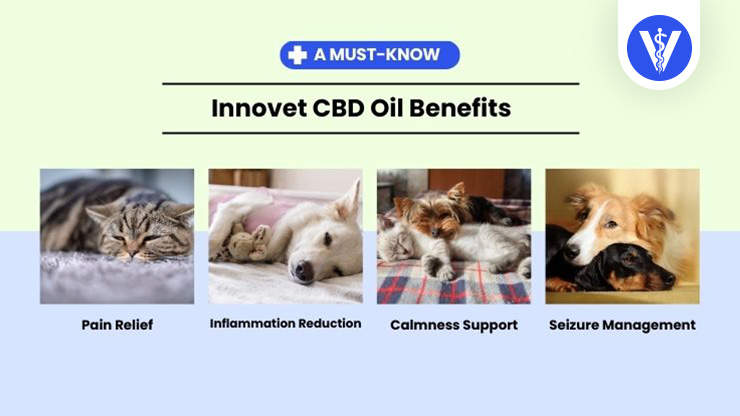 Innovet CBD Benefits