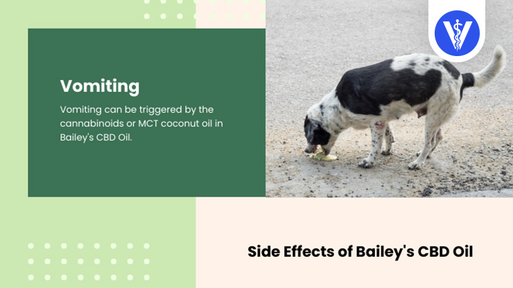 Bailey's CBD Oil Side Effects Vomiting